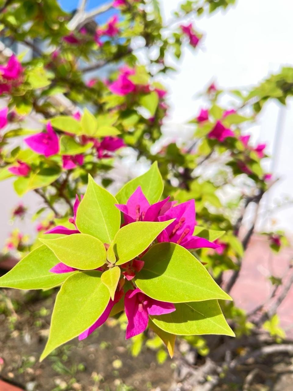 Pho Bien Hotel Nha Trang Zewnętrze zdjęcie