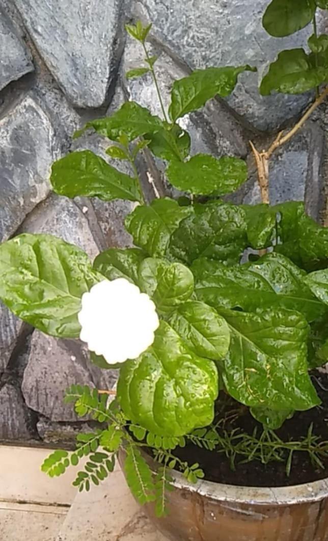 Pho Bien Hotel Nha Trang Zewnętrze zdjęcie
