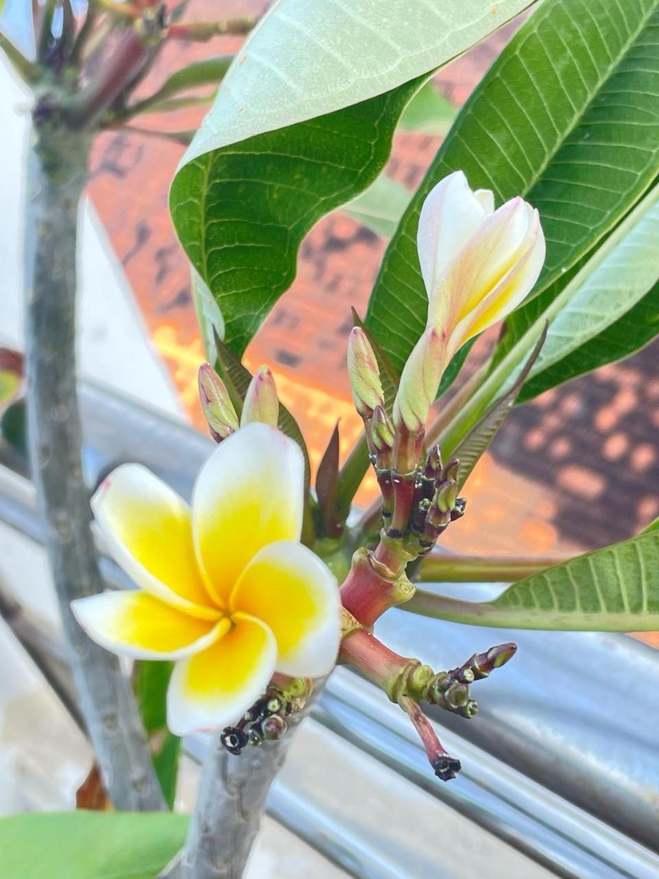 Pho Bien Hotel Nha Trang Zewnętrze zdjęcie
