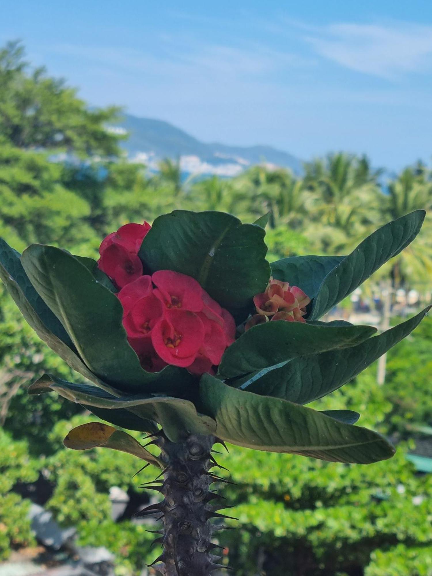 Pho Bien Hotel Nha Trang Zewnętrze zdjęcie