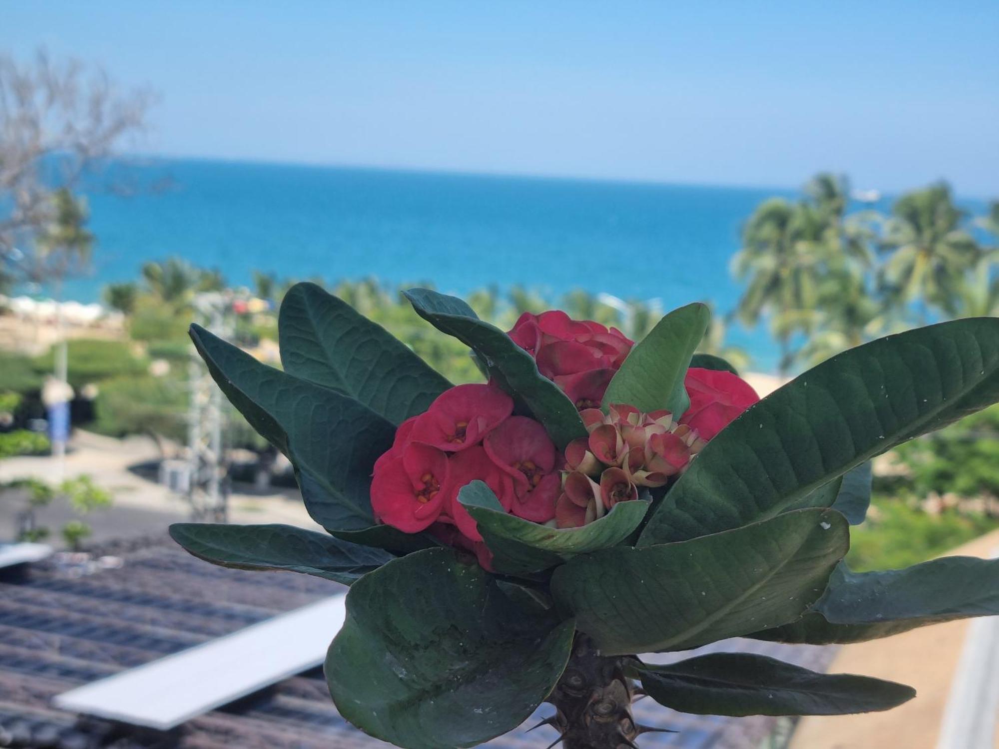 Pho Bien Hotel Nha Trang Zewnętrze zdjęcie